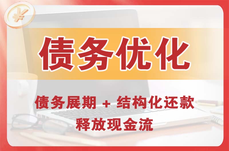 雅安债务优化